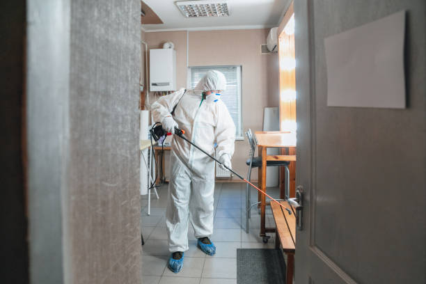 Best Mold Remediation for Healthcare Facilities  in Lake Hopatcong, NJ